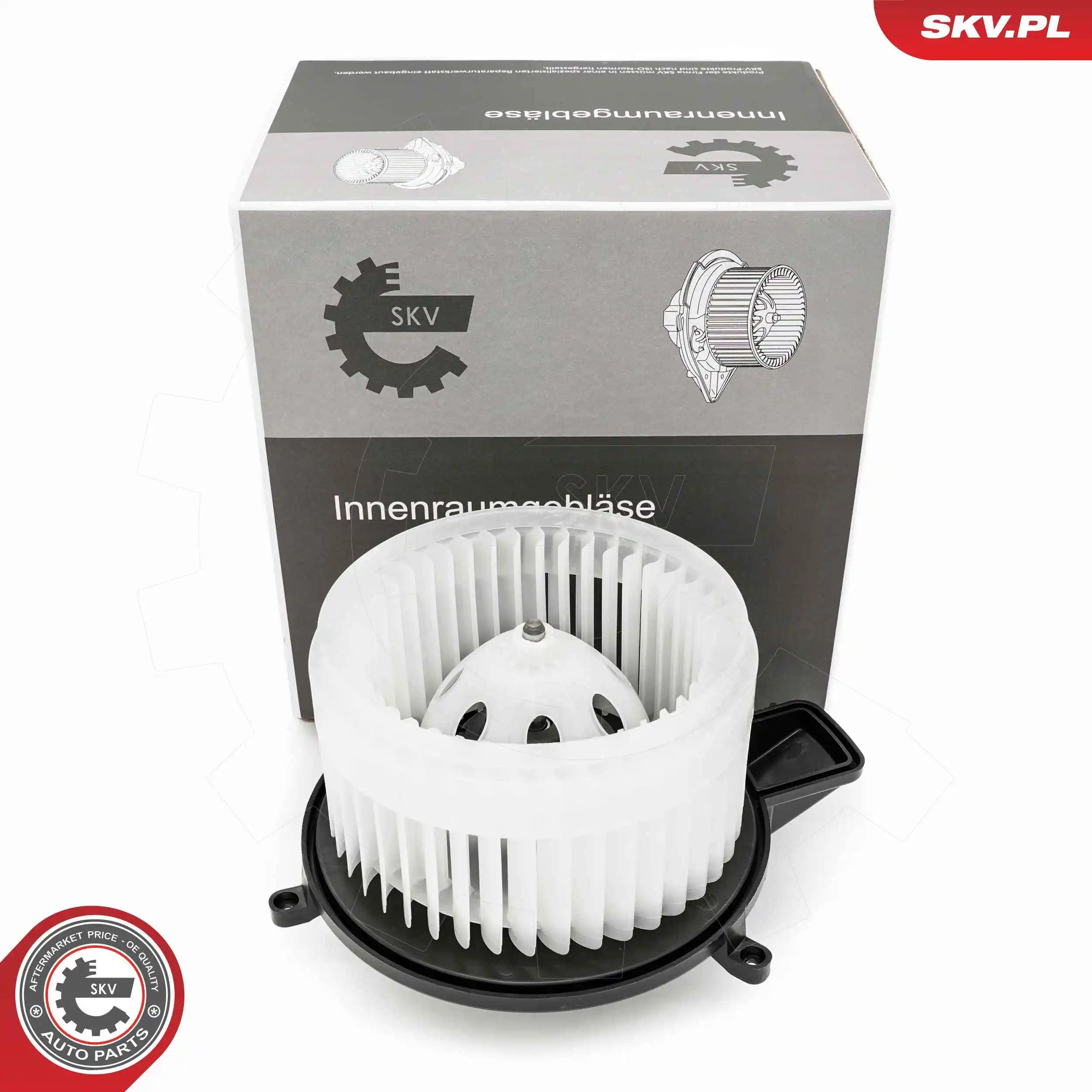 Interior Blower